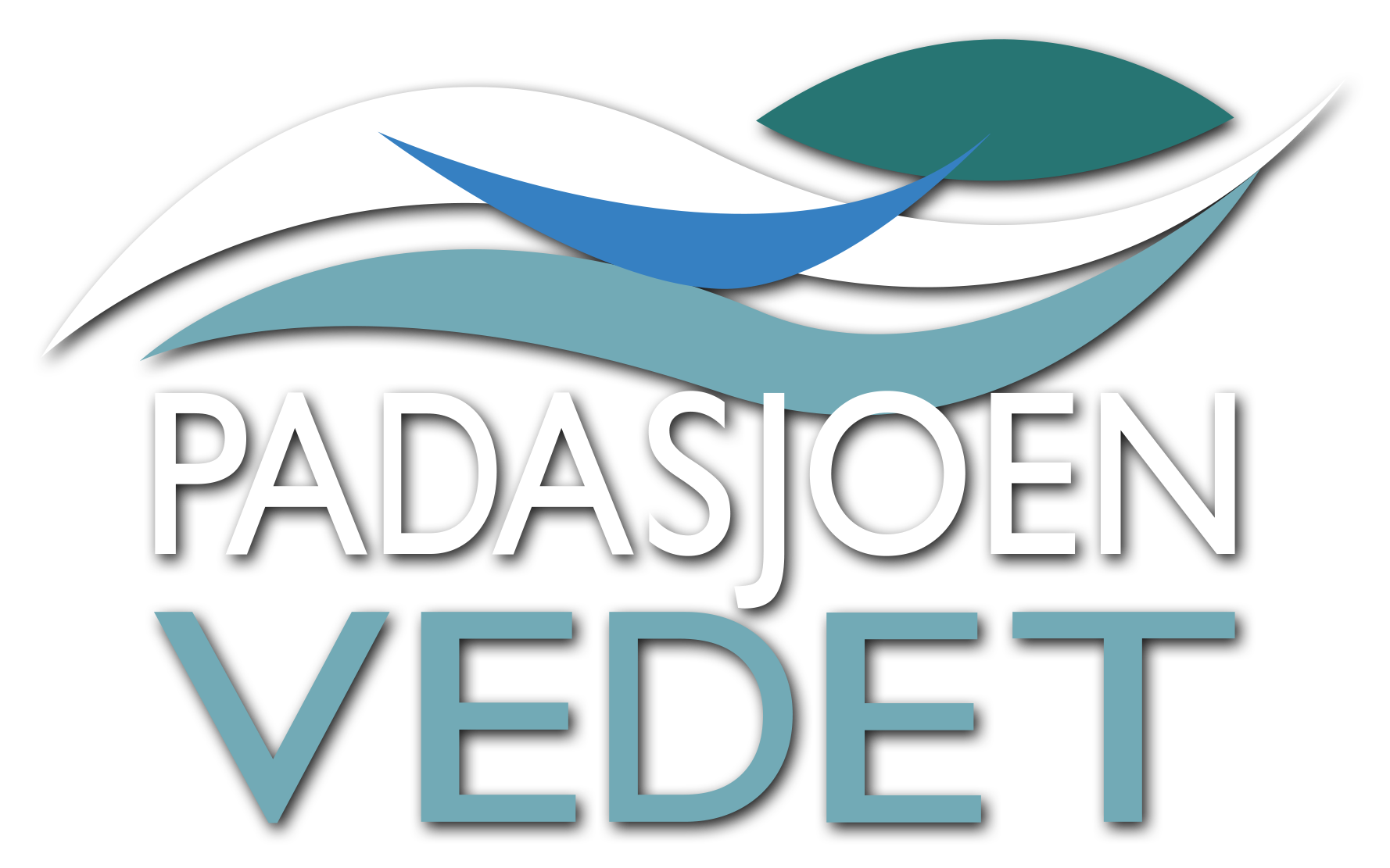padasjoen vedet logo hero ps varjo